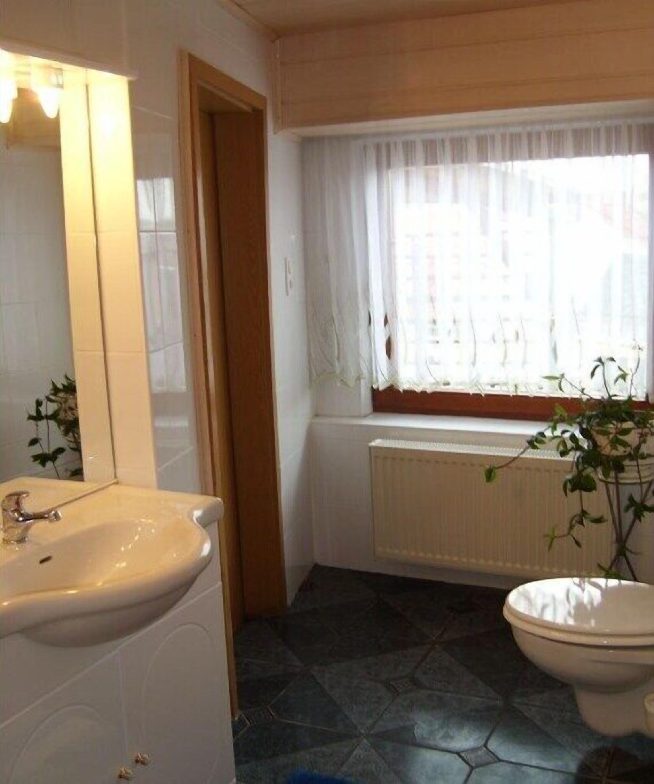 Shower, hair dryer