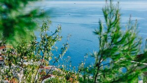 Vista sulla costa con mare azzurro e limpido, montagne in lontananza e zona residenziale con case.