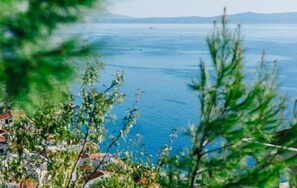 A coastal view with a clear blue sea, distant mountains, and a residential area with houses. - Awesome apartment in Brela with swimming pool (Brela)