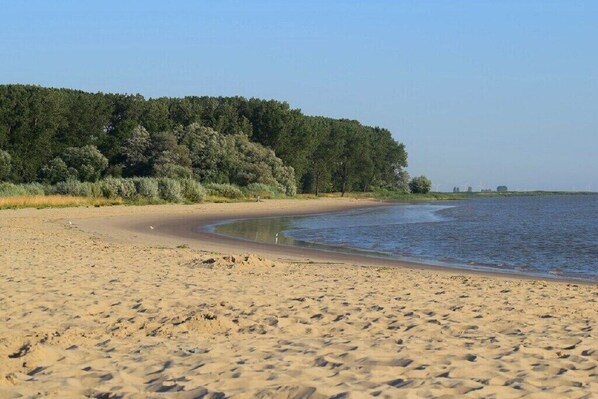 Ein sandiger Strand mit bewaldetem Hintergrund.
