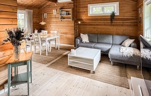 Smart-TV, Kamin