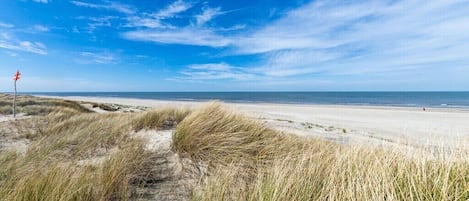 On the beach