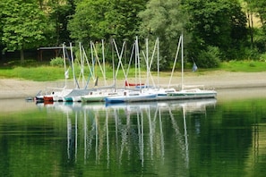 Eine Reihe von Segelbooten liegt an einem ruhigen Flussufer, umgeben von üppigem Grün.