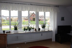 Ein Zimmer mit großen Fenstern, einem Heizkörper, einem Fernseher und mehreren Blumentöpfen.