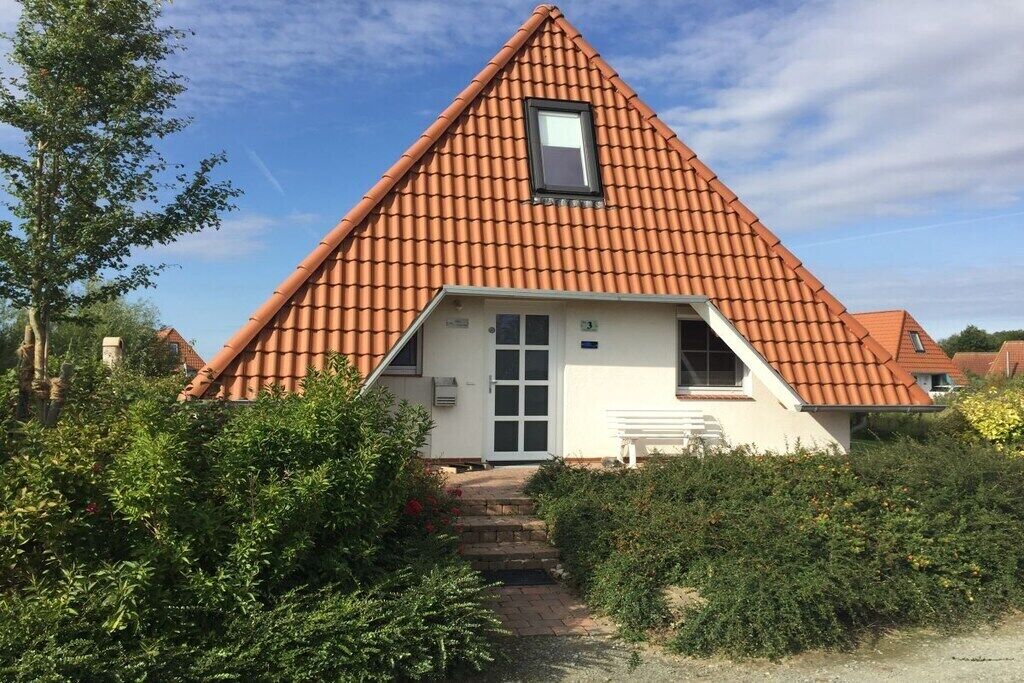 Esterni