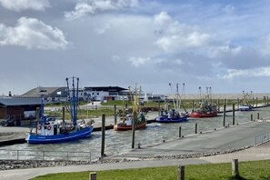 Ein Hafen mit mehreren vertäuten Fischerbooten, ein Gebäude mit flachem Dach und eine Grünfläche im Hintergrund.