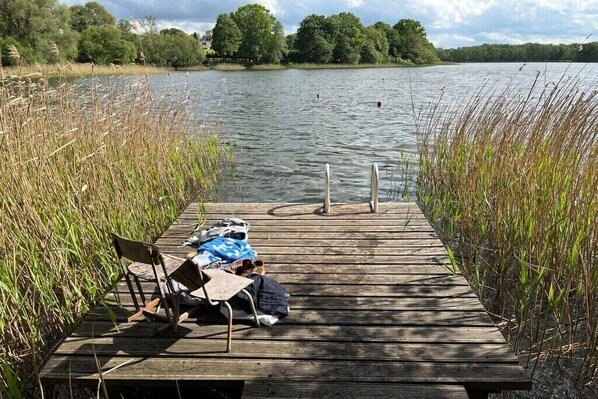 Eine Holzstege ragt in einen See, umgeben von hohem Schilf.