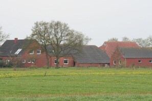 Une rangée de maisons en briques rouges, dotées de toits inclinés, se dresse au milieu d’un champ verdoyant parsemé de fleurs jaunes.