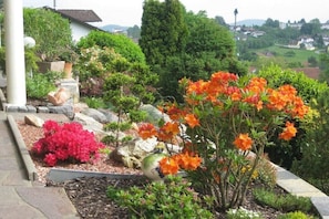 A garden with various plants and flowers, a stone pathway, and a view of a residential area in the background. - Holiday apartment with 1 bedroom (Schönberg)