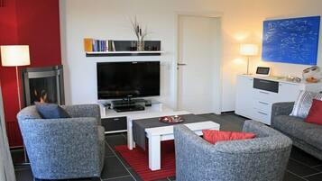 Smart TV, fireplace, DVD player, books