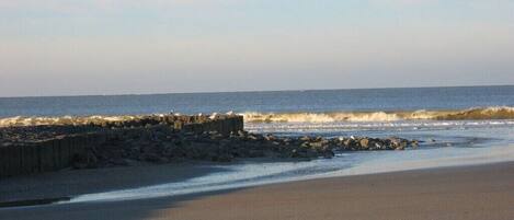 Playa