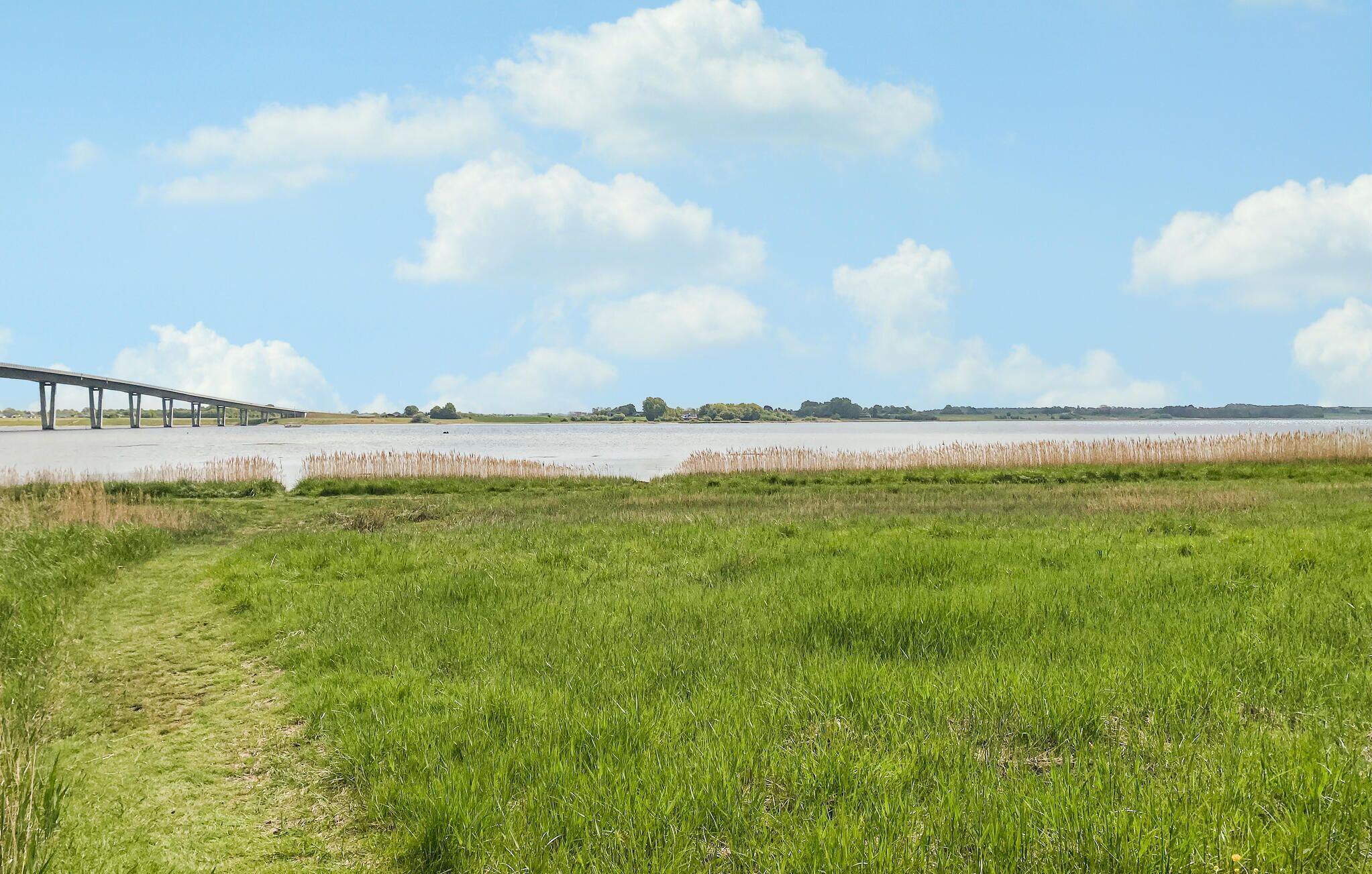 A grassy field with a bridge in the background.