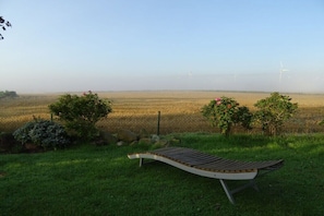 Eine gebogene Holzbank in einer grünen Wiese mit Blick auf Windkraftanlagen in der Ferne.