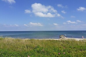Ein Strand mit blauem Himmel, ruhigem Wasser und einem grasbewachsen Vordergrund.