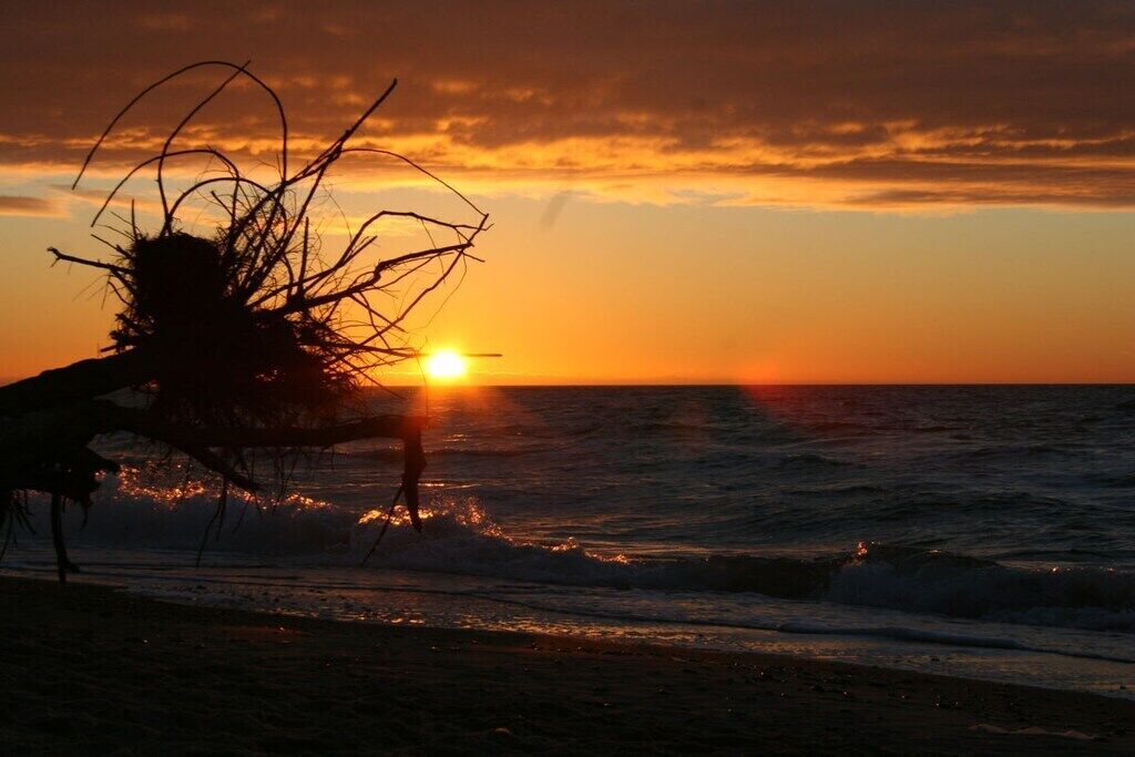 Playa
