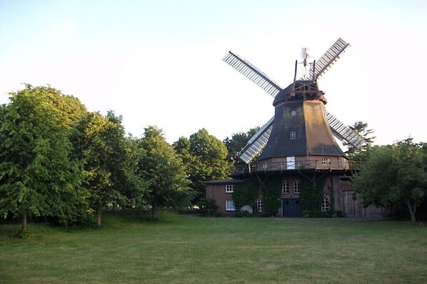 A traditional windmill with a conical roof and a large, open field in the foreground. - Holiday farmhouse with 2 bedrooms (Langenhorn)