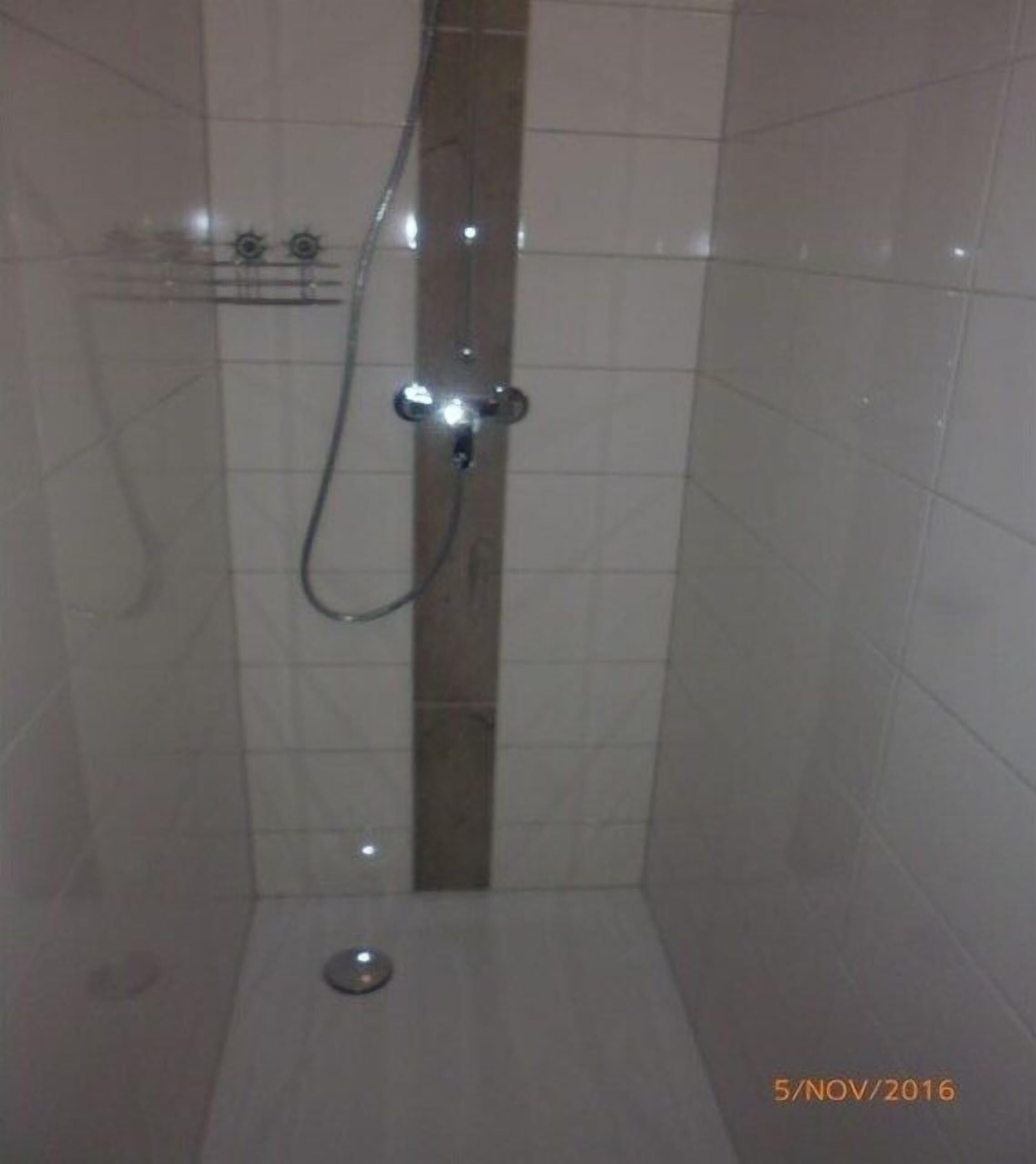 Shower, hair dryer