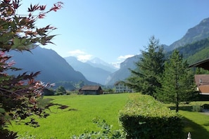 Property grounds - in the Abendberg house (Wilderswil)