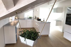Eine moderne Küche mit wei ßen Schränken, einer hängenden Pflanze und Blick auf den Wohnbereich.