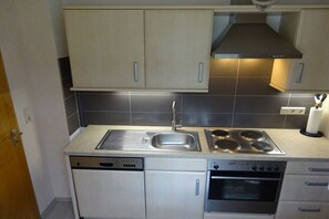 Eine kleine Küche mit Geschirrspüler, Herd, Backofen und Spüle.