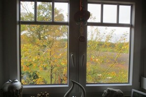 A room with a large window, a chair, and a decorative item hanging from the ceiling. - "Röben Vegetable Farm" (Zetel)