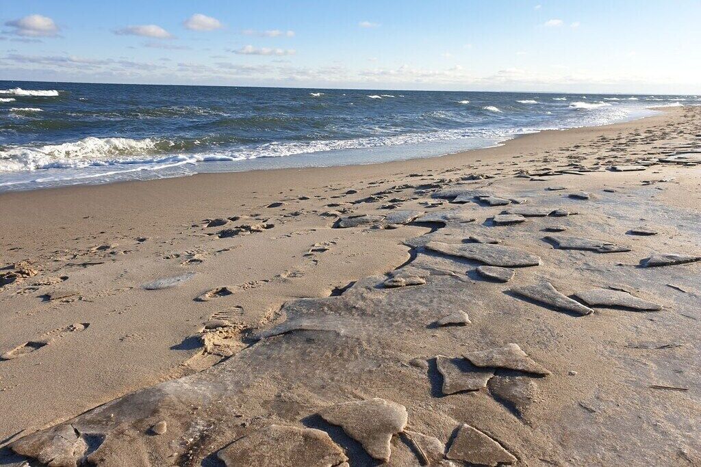On the beach