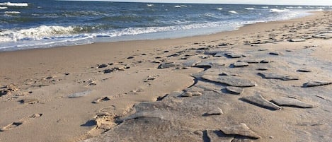 On the beach