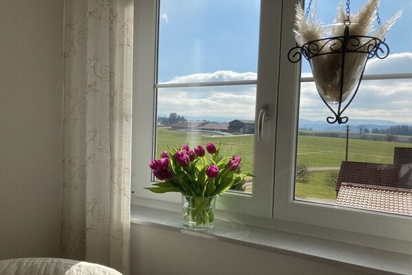 Ein Fenster mit freiem Blick auf ein grünes Feld und ein Gebäude, eine Vase mit Blumen sowie eine Pendelleuchte.