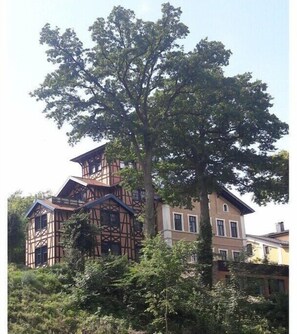 Ein traditionelles Fachwerkhäuschen mit einem großen Baum davor.