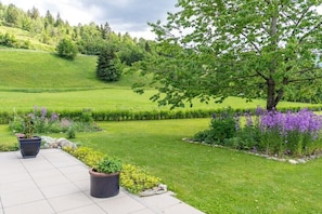 Ein angelegter Garten mit Baum, Kübelpflanzen und einer Rasenfläche.