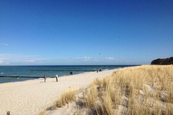 Ein Strand mit Sand, Gras und dem Meer.