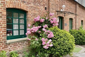 Ein Backsteinhaus mit einem grünen Fenster und einem Rosenbusch.