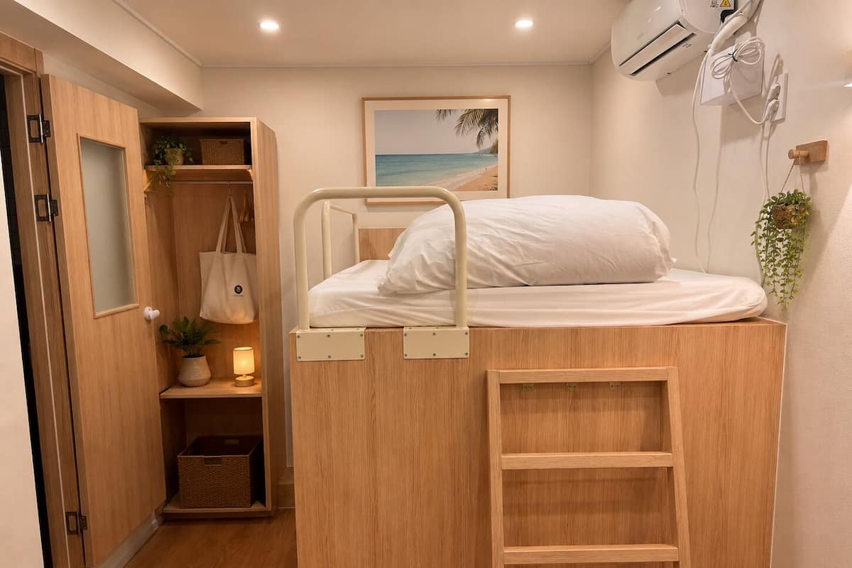 A bunk bed with a ladder, a bedside table with a lamp, a shelf with a plant, a wall-mounted air conditioner, and a framed picture of a beach.