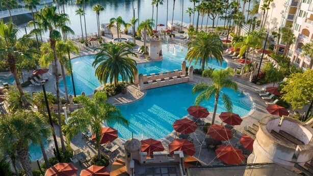 A resort pool area with palm trees, lounge chairs, and umbrellas.