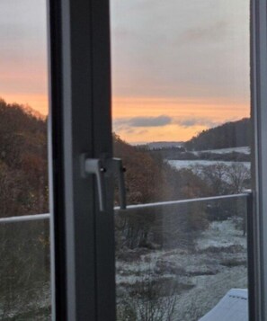 Blick durch ein Fenster mit einer Tür, der eine Landschaft mit Bäumen und einem bewölkten Himmel zeigt.