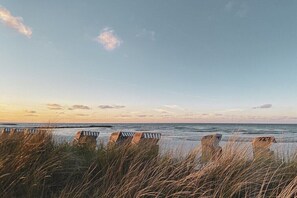 Ein Strand mit einer Reihe von Liegestühlen und einem Holzzaun.