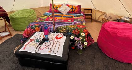 That ’70s Tent • Flower Power • Mt. Rainier & Salish Sea Views