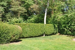 A well-maintained hedge, a grassy area, and a tree in a garden setting. - Zomprus holiday home (Kamperland)