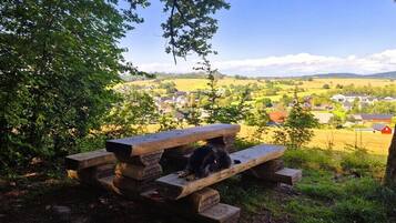 Speisen im Freien