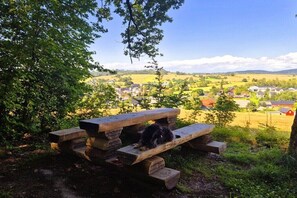 A picnic table with a black dog lying on it, surrounded by greenery and overlooking a rural landscape with houses. - Holiday home in Sebnitz with swimming pool (Sebnitz)