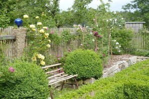 Ein Garten mit Holzzaun, Kletterrosen und einem blauen Ziergegenstand.