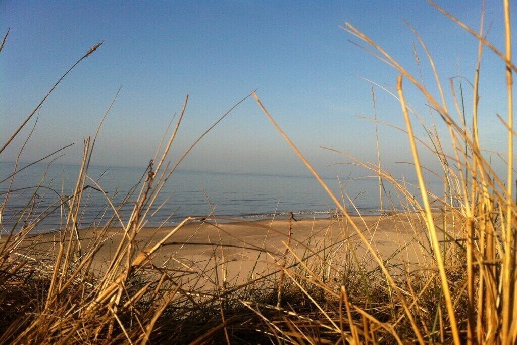海滩