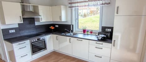 Fridge, oven, stovetop, dishwasher