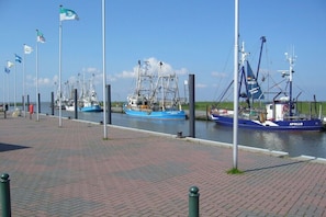 Eine Uferpromenade mit vertäuten Booten, blauem Himmel und einem Pflasterweg.