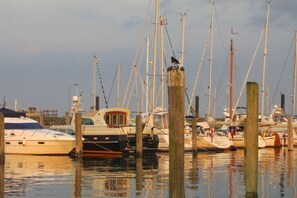 Ein Yachthafen mit an Holzpfählen vertäuten Booten.