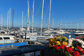 Ein Yachthafen mit mehreren Segelbooten, ein blaues Boot im Vordergrund und einer Blumenausstellung.