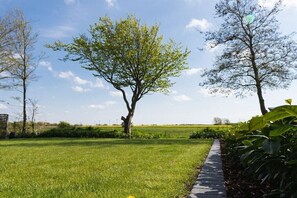 Eine Rasenfläche mit einem Weg, Bäumen und blauem Himmel.