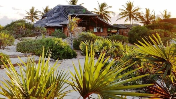 Une maison au toit de chaume, entourée d’une végétation tropicale et de palmiers.
