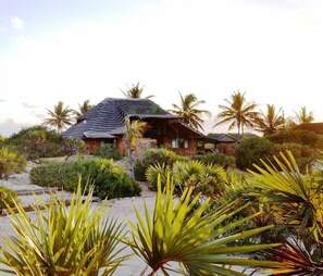 Comfort House, Garden View | Property grounds - Bay View Lodge (Praia da Barra)