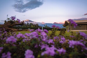 Exterior - Kilimanjaro Luxury Camp (Moshi)